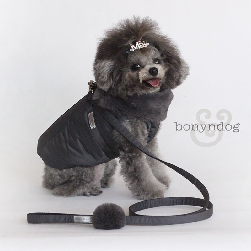 最新ショップニュース bonydog ジャケットハーネス - 犬用品