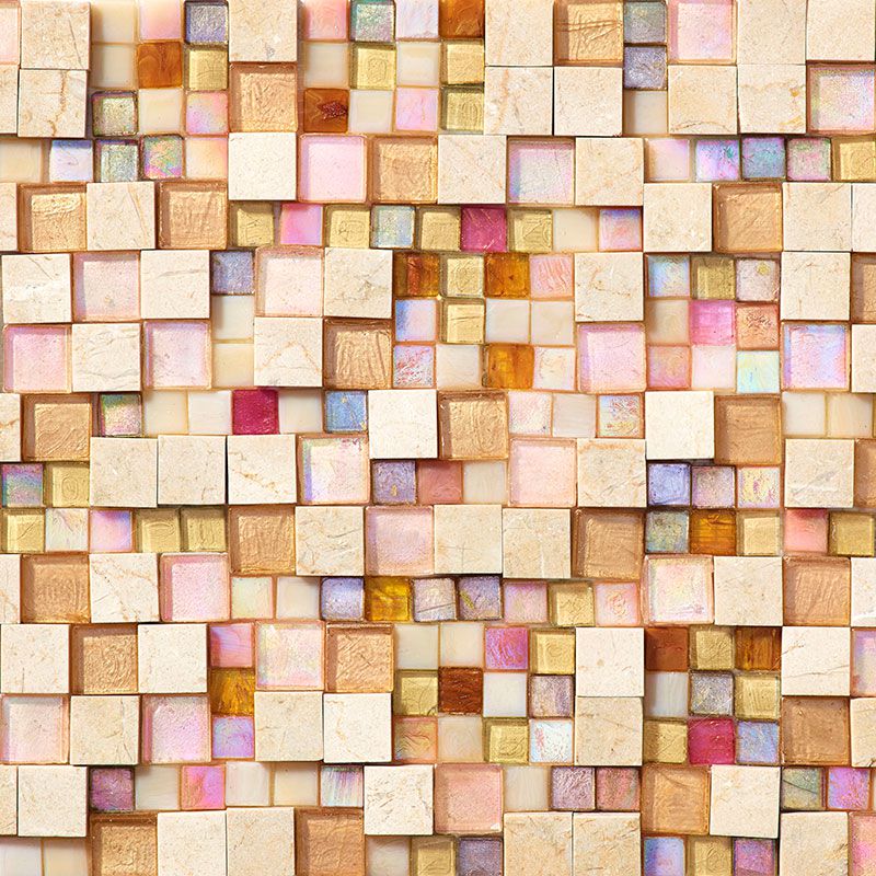 ストラクチュラ タランパジャ ホリデースペシャルマーケット