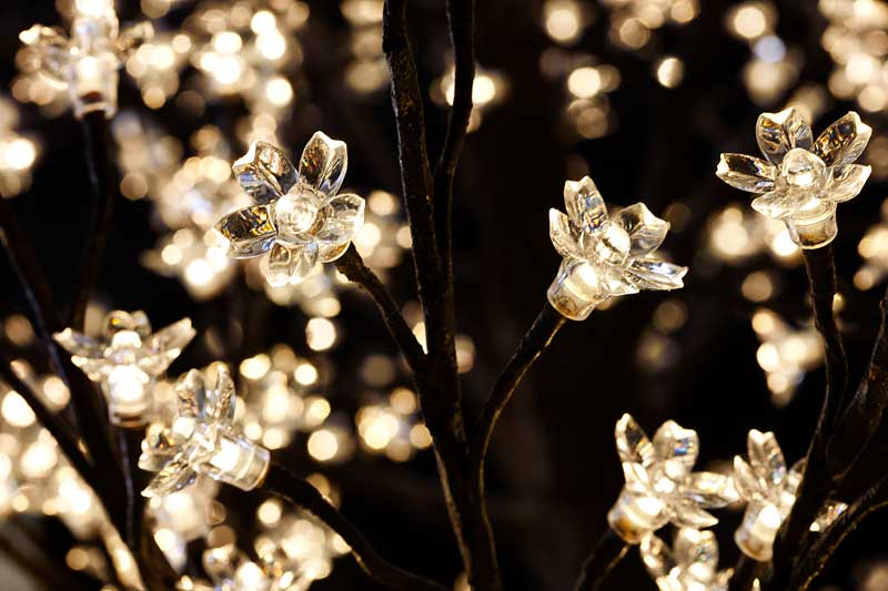 花鳥風月S｜ トーヨーキッチンスタイル公式オンラインショップ