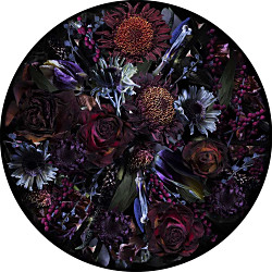 フールズパラダイス φ250 moooi | モーイ