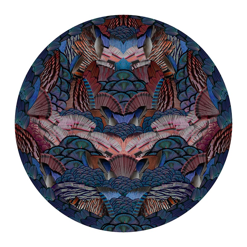 カリグラフィーバード moooi | モーイ