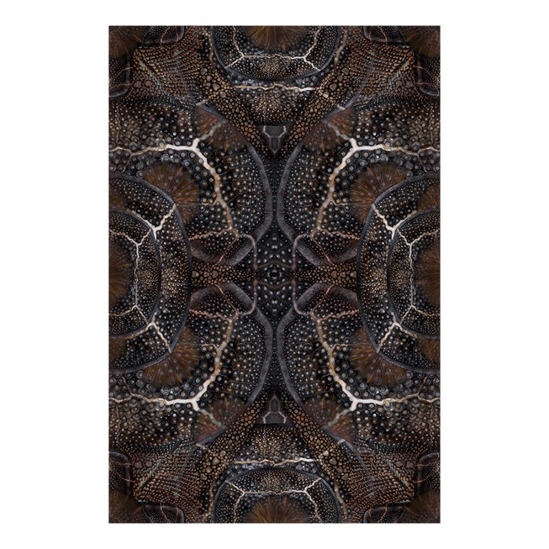 ブルーミングシードラゴン moooi | モーイ