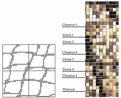 パターンカラー パイソン
