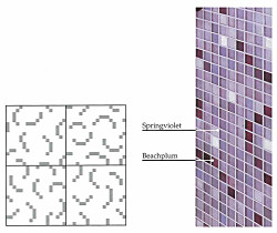 パターンカラー バクテリア