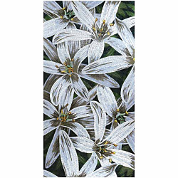 フラワーパワー4W/X タイル・床材