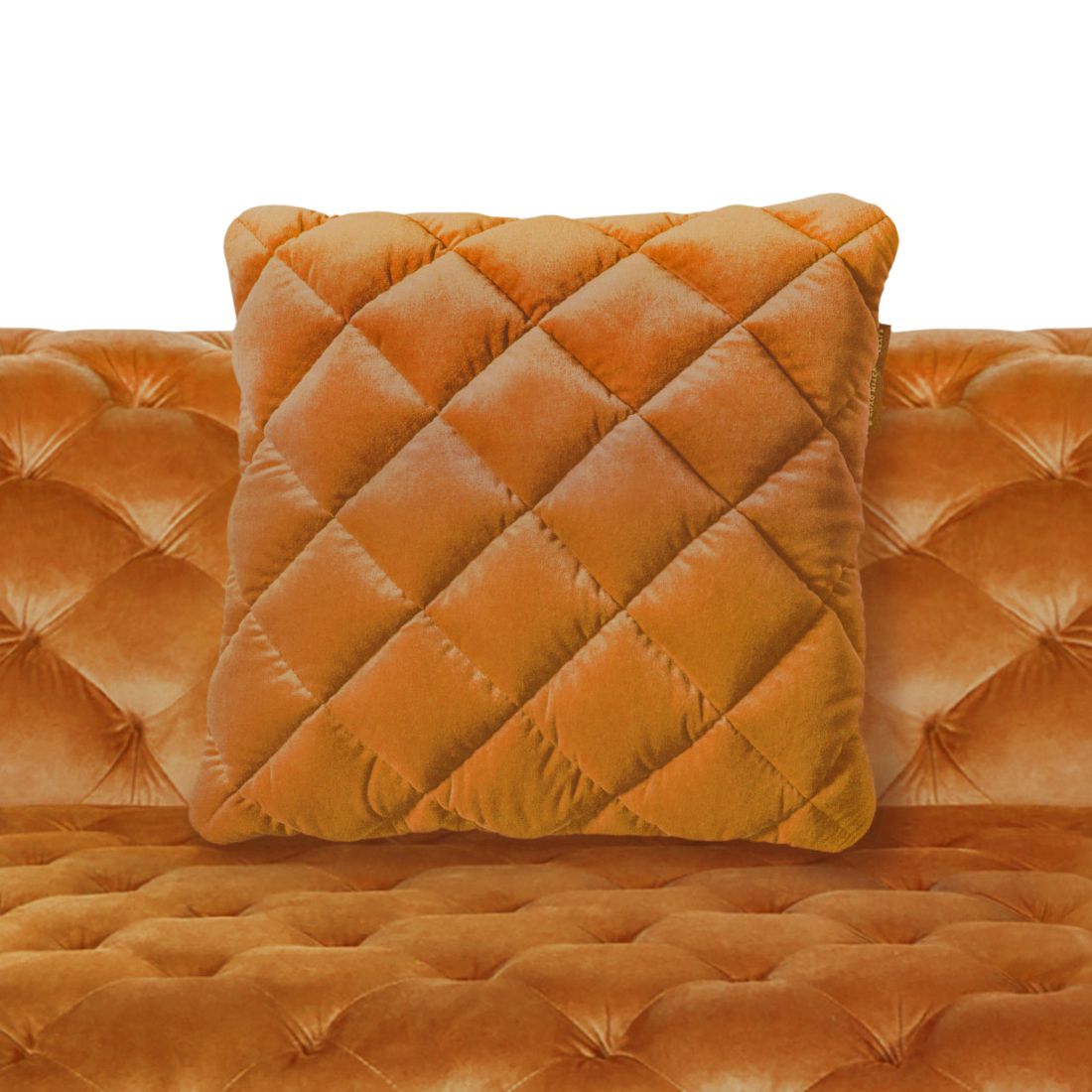 集(つどい) クッション［レギュラーカラー］【アウトレット品★】 アウトレット品