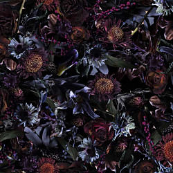 ブロードルームフールズパラダイス リビンググッズ