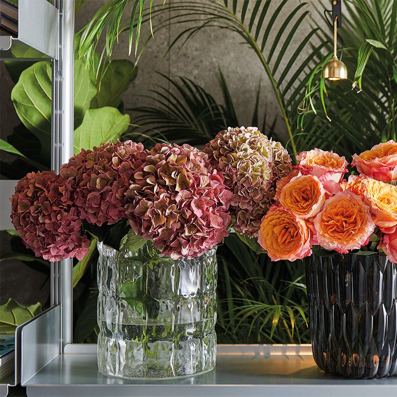 Kartell カルテル　マトラッセ マトラッセ｜ トーヨーキッチンスタイル公式オンラインショップ