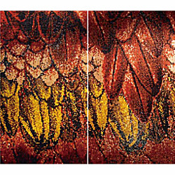 アイピクス グアカマイヨレッド