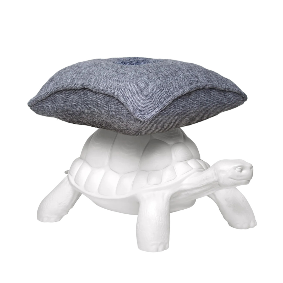 タートルキャリープフ 新商品