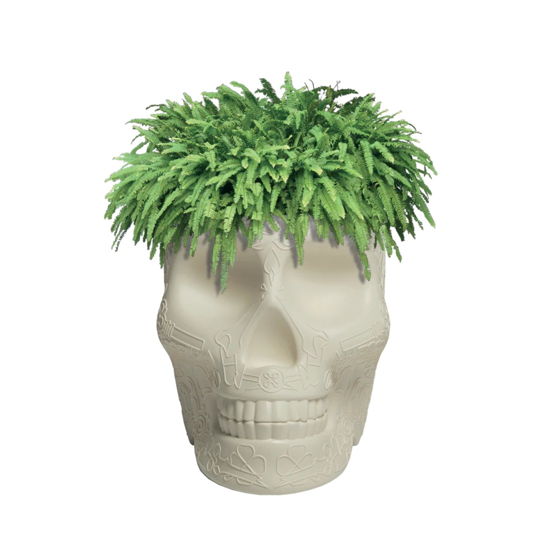 メキシコプランター＆シャンパンクーラー Qeeboo | キーブー