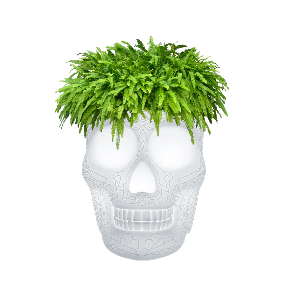 メキシコプランター＆シャンパンクーラーLED Qeeboo | キーブー