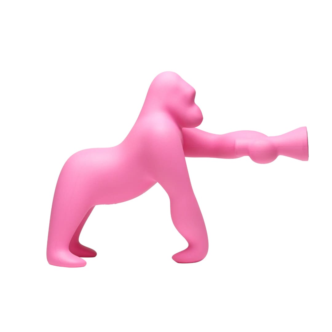 コングXS