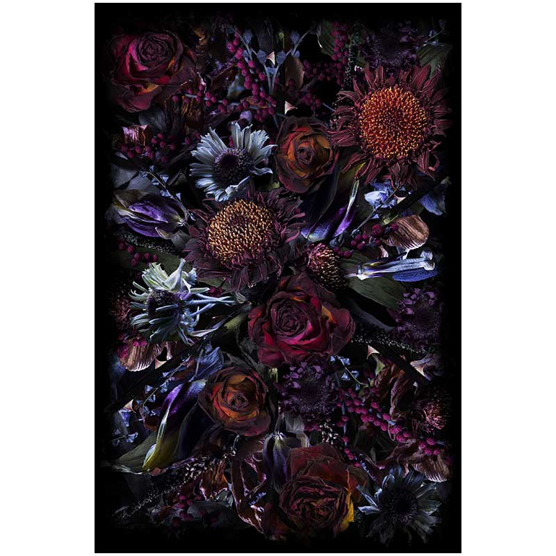 フールズパラダイス 200×300 マルセル・ワンダース｜Marcel Wanders